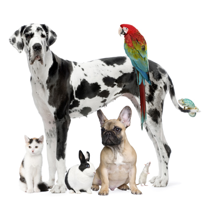 Vetmobile Housecall Service welcomes all 